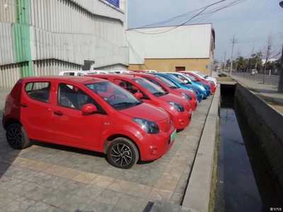 純電動汽車租賃(經(jīng)濟(jì)代步神車)