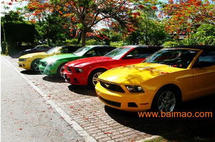 東營租車 東營汽車租賃 東營租車服務 東營租車公司,東營租車 東營汽車租賃 東營租車服務 東營租車公司生產廠家,東營租車 東營汽車租賃 東營租車服務 東營租車公司價格